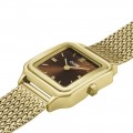 CLUSE GRACIEUSE PETITE CW11830 CLUSE GRACIEUSE PETITE CW11830