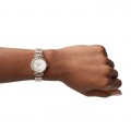 FOSSIL ES4649