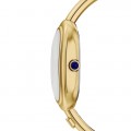 FOSSIL ES5456