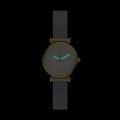 FOSSIL ES5463