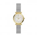 FOSSIL ES5463