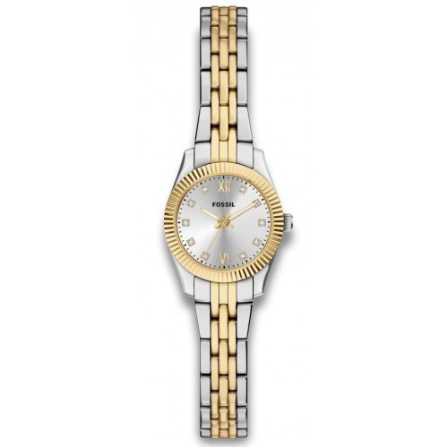 FOSSIL ES5473