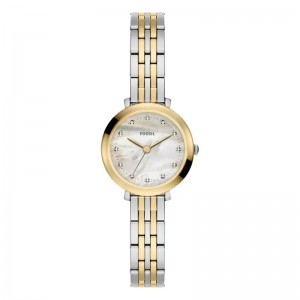 FOSSIL ES5500
