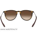 RAY BAN 4171 54 865/13 ERIKA