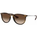 RAY BAN 4171 54 865/13 ERIKA
