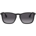 RAY BAN 4187 54 622/8G